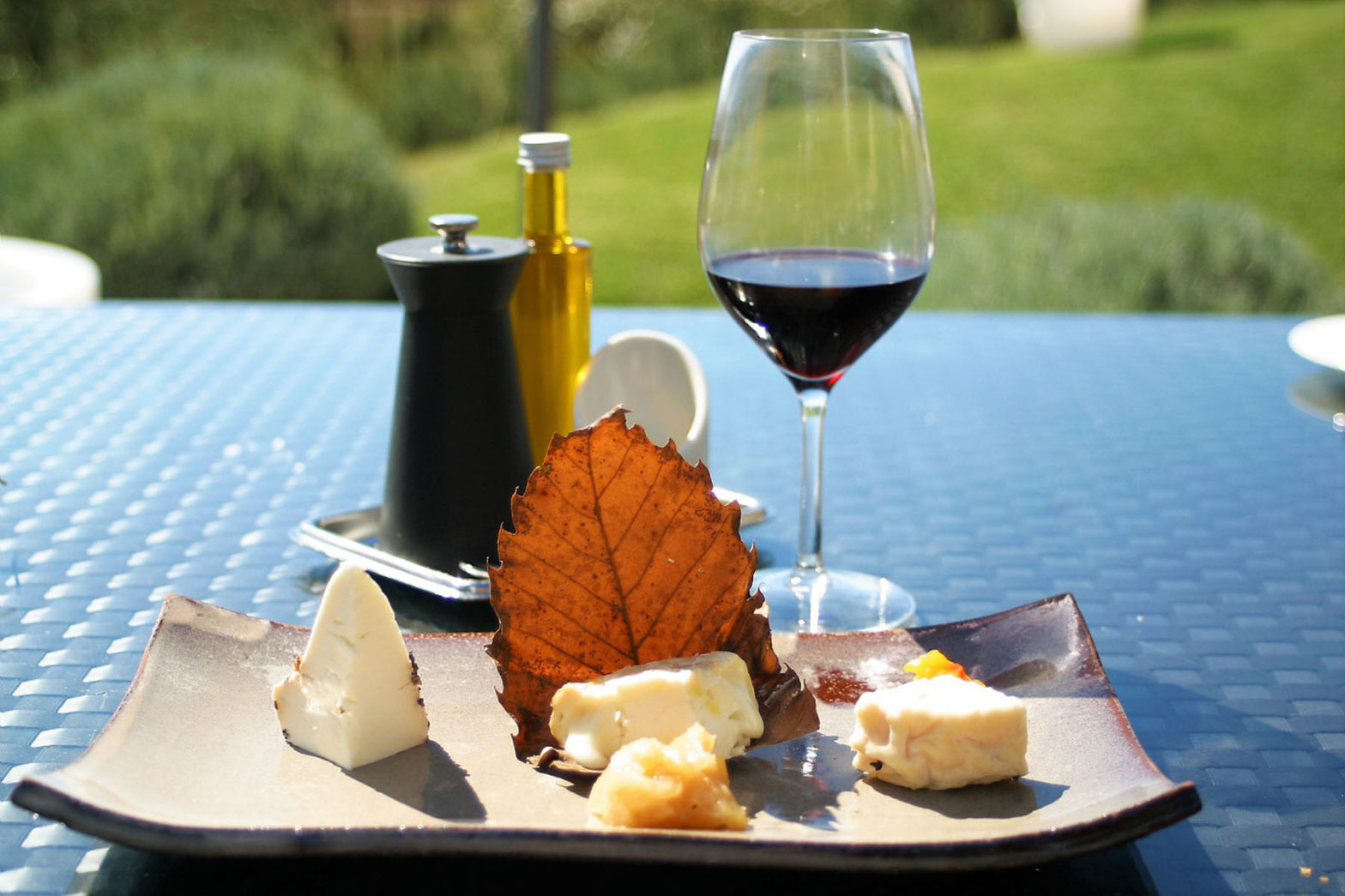 Taste of land and Ocean in Provence-Alpes-cote-d'azur-region