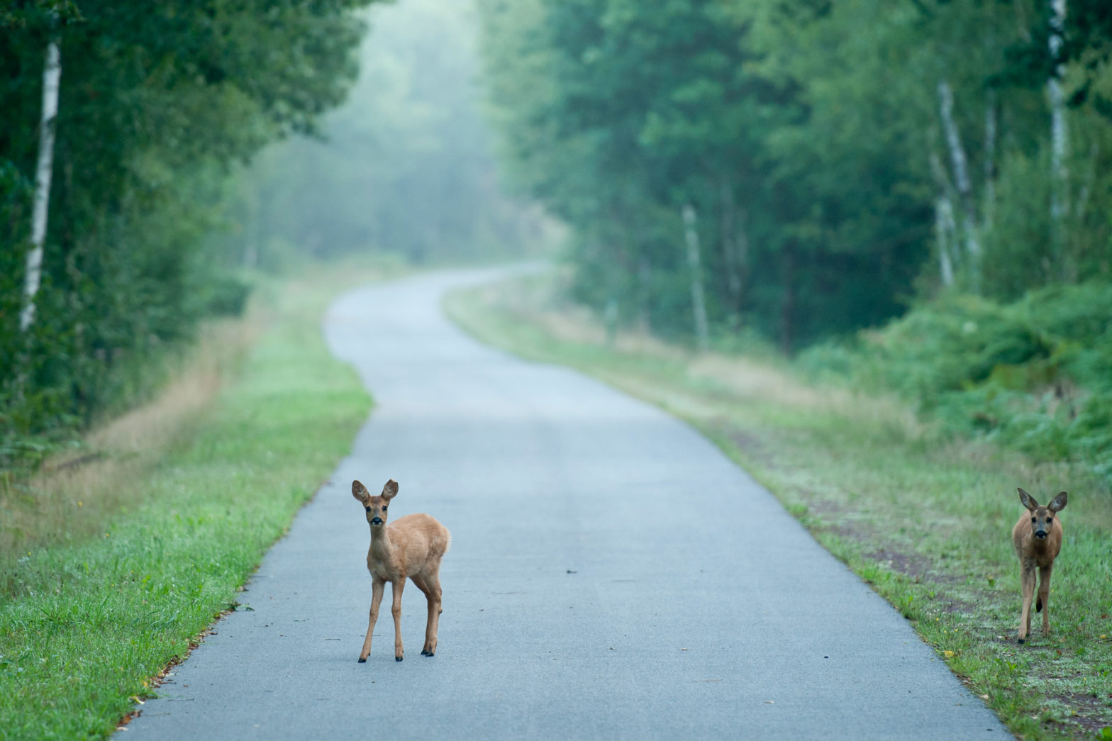 Hidden Treasures in Brittany