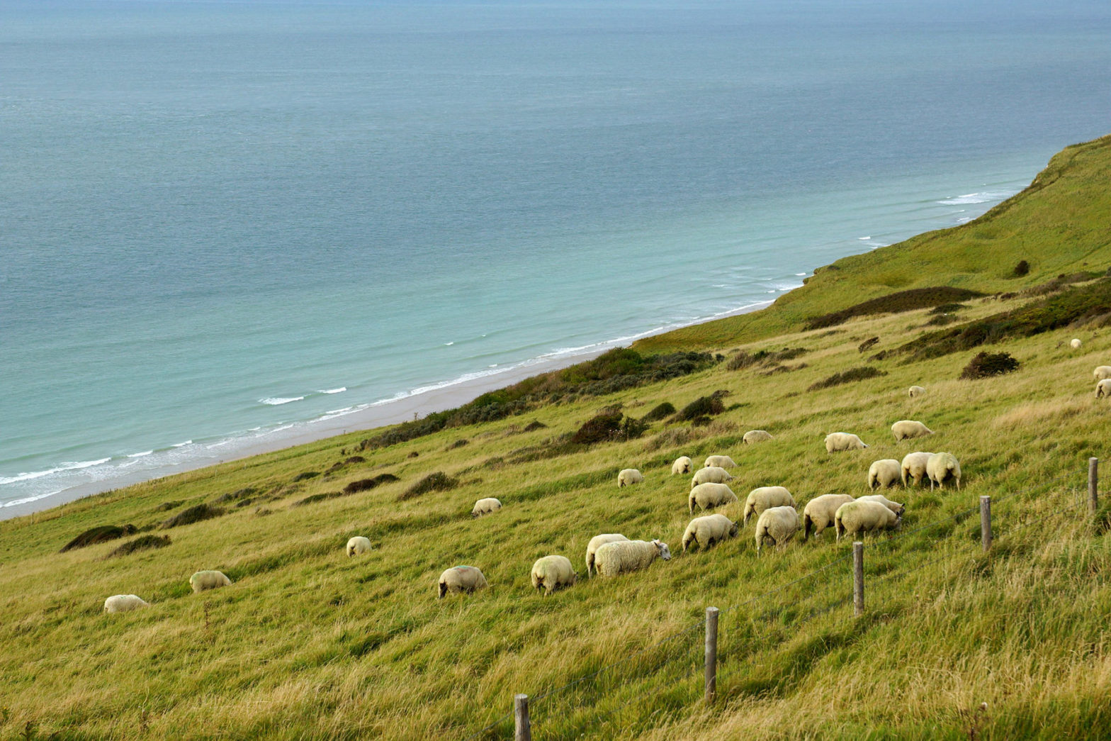 Hauts-de-France for foodies