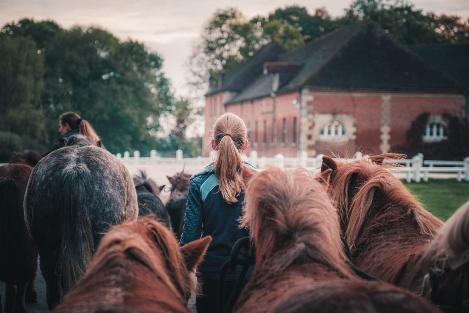 What to do in Normandy
