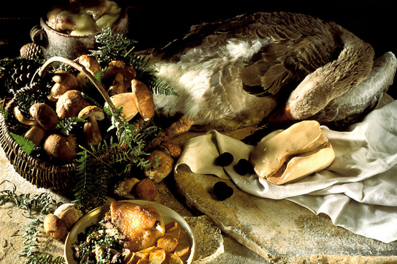 Nouvelle Aquitaine, Region of Gastronomy