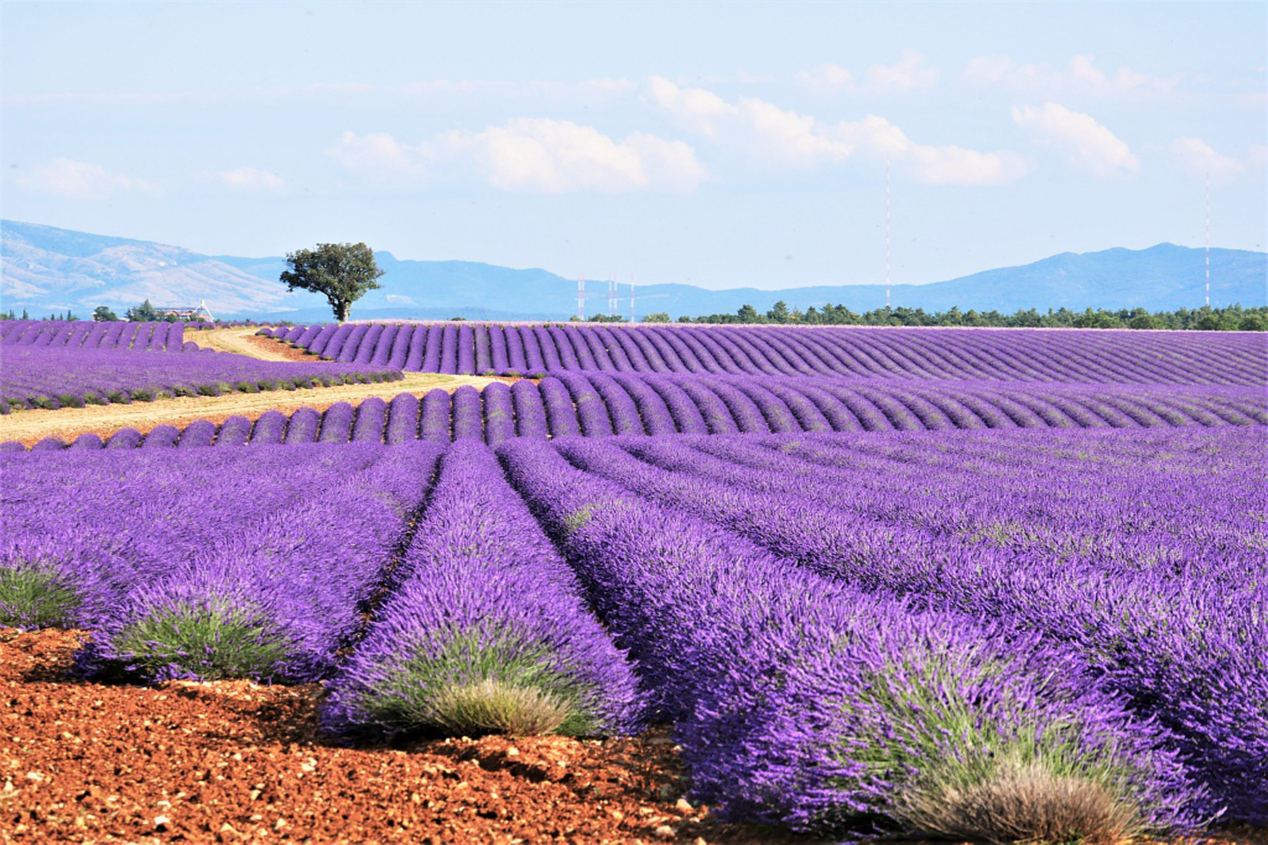 Прованс контакты. Прованс. Прованс на рабочий стол. Прованс Кроста. Provence-Alpes-Côte d'Azur ландшафт.