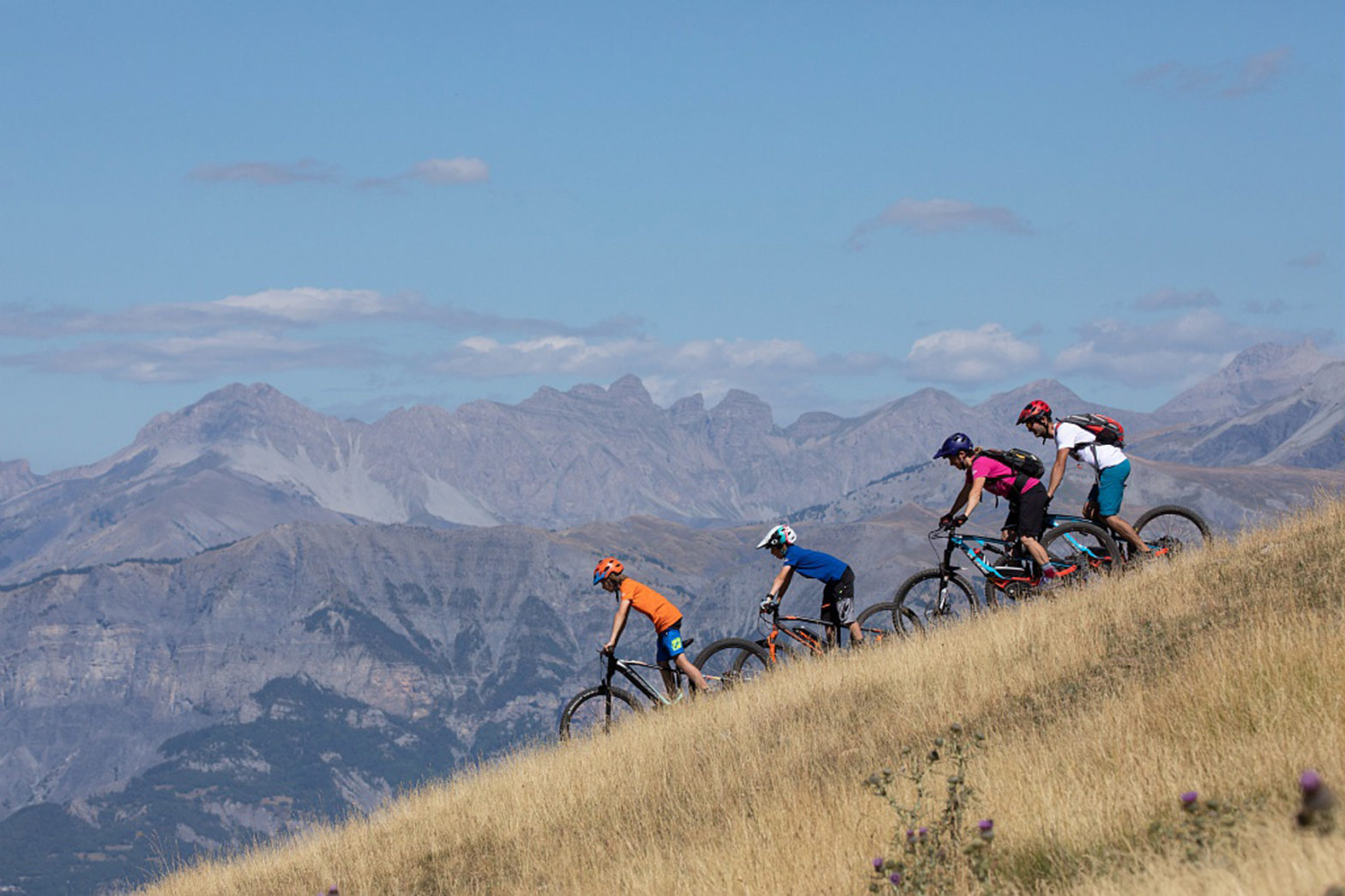 What to do in Provence-Alpes-Côte-d'Azur