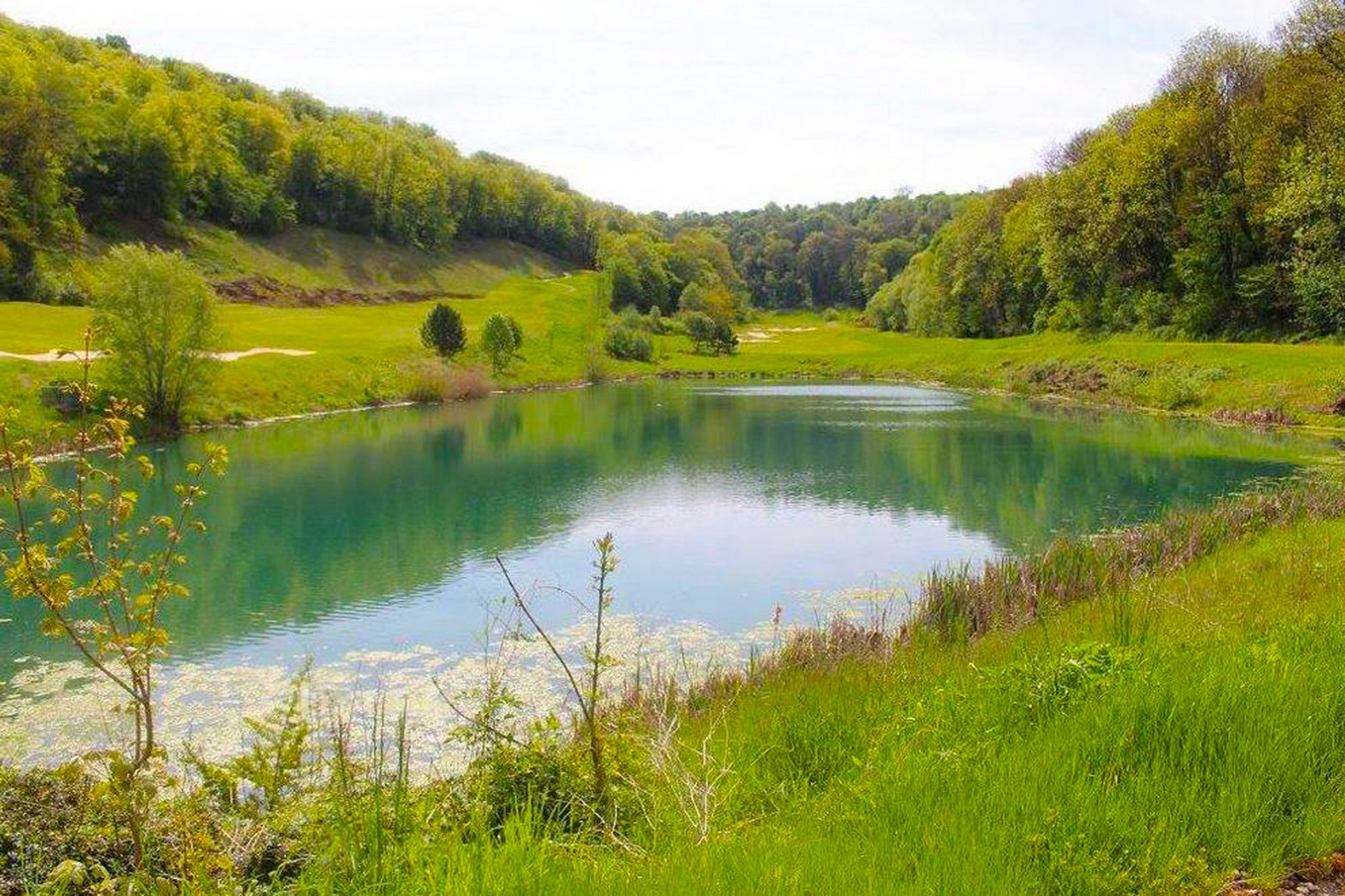 Great golf courses in Grand Est Region