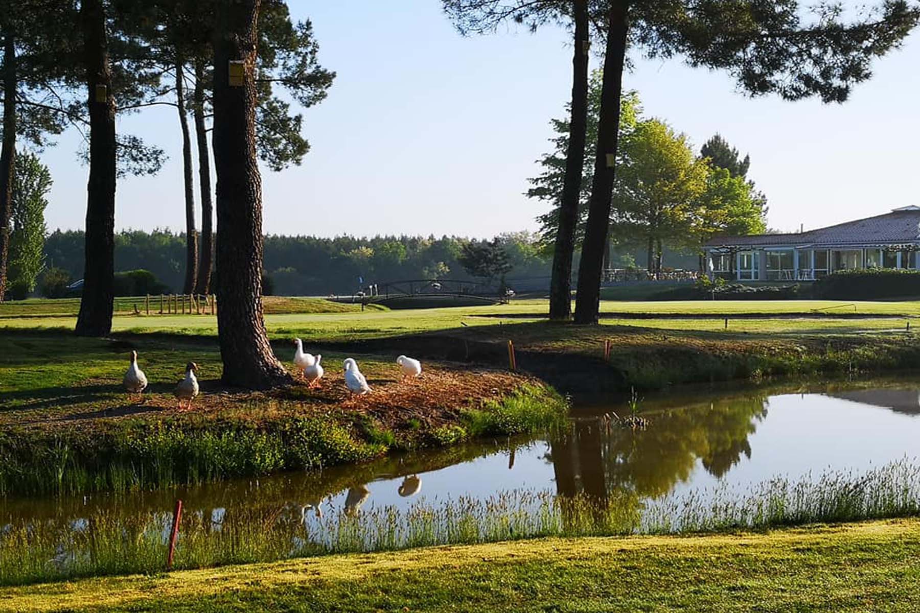 Nouvelle Aquitaine Region Play Golf in France